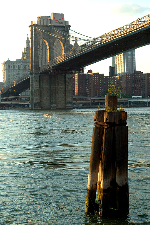 NY_Financial_District_Brooklyn_054.jpg - Ponte di Brooklyn