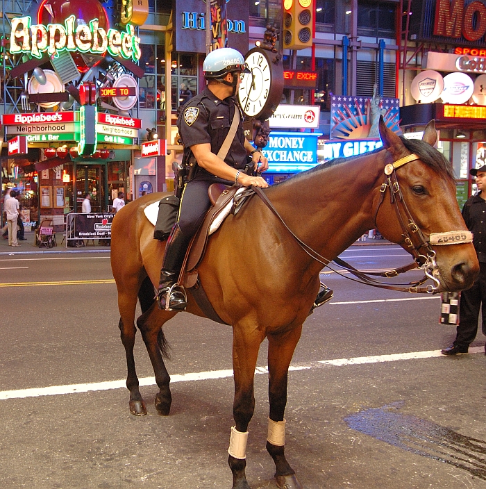 NY_Midtown_062.jpg - Poliziotto a cavallo a Time Square