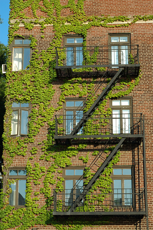 NY_Financial_District_Brooklyn_049.jpg - Brooklyn