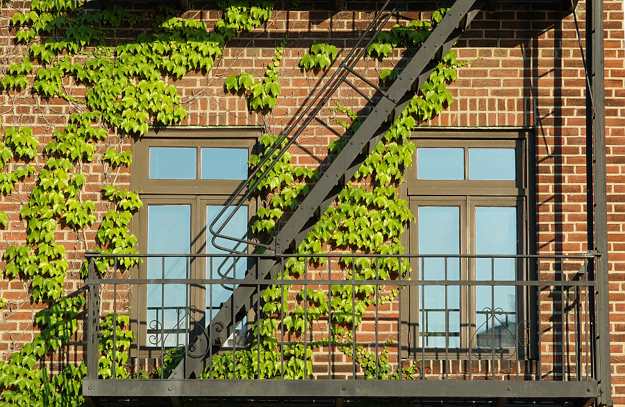 NY_Financial_District_Brooklyn_050.jpg - Brooklyn