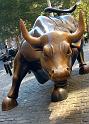 NY_Financial_District_Brooklyn_018