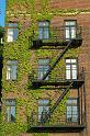 NY_Financial_District_Brooklyn_049