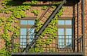 NY_Financial_District_Brooklyn_050