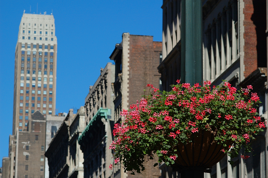 NY_Midtown_001.jpg - Fifth Avenue