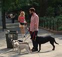 NY_SoHo_Greenwich_034