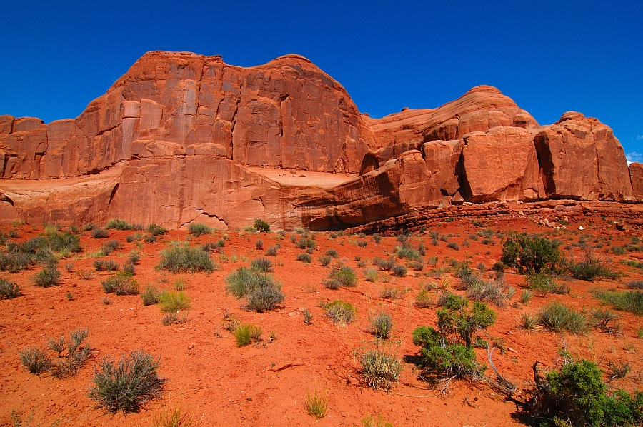 Arches_004.jpg - Rocce Rosse nel parco