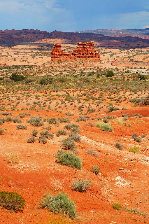 Arches_010.jpg - The Organ