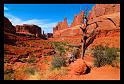 Arches_008