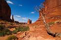 Arches_009