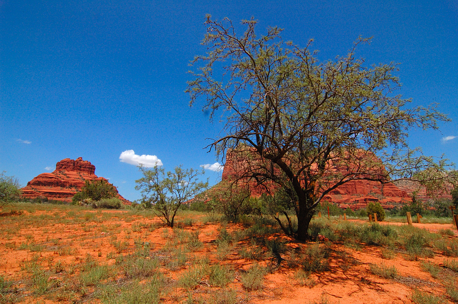 Arizona_005.jpg - Sedona