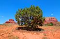 Arizona_004