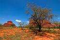 Arizona_005