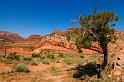 Arizona_034