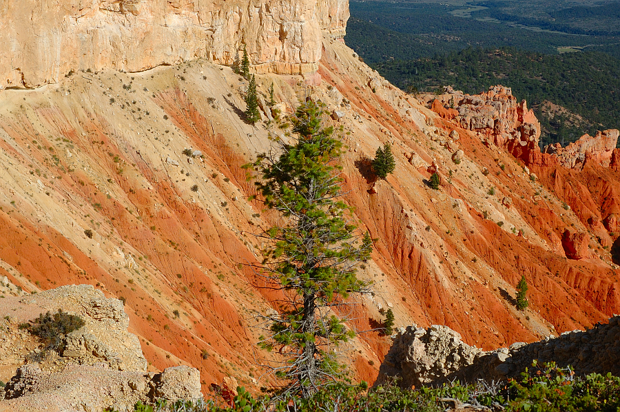 BryceCanyon_007.jpg - Yovimpa Point