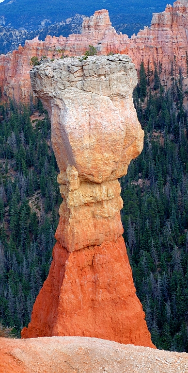 BryceCanyon_012.jpg - Thor's Hammer