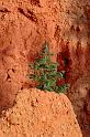 BryceCanyon_016