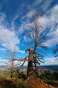 BryceCanyon_017
