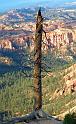 BryceCanyon_020