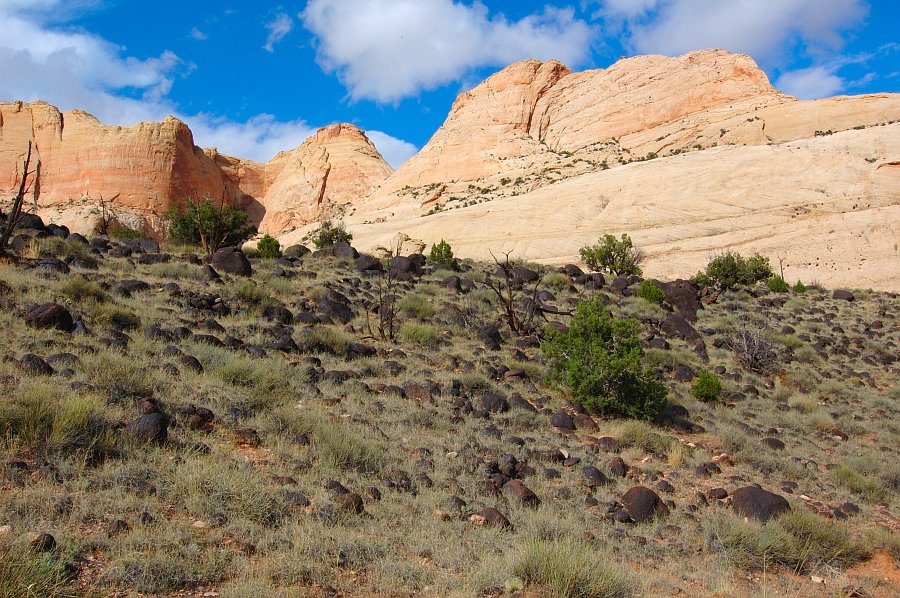 CapitolReef_013.jpg - Capitol Reef