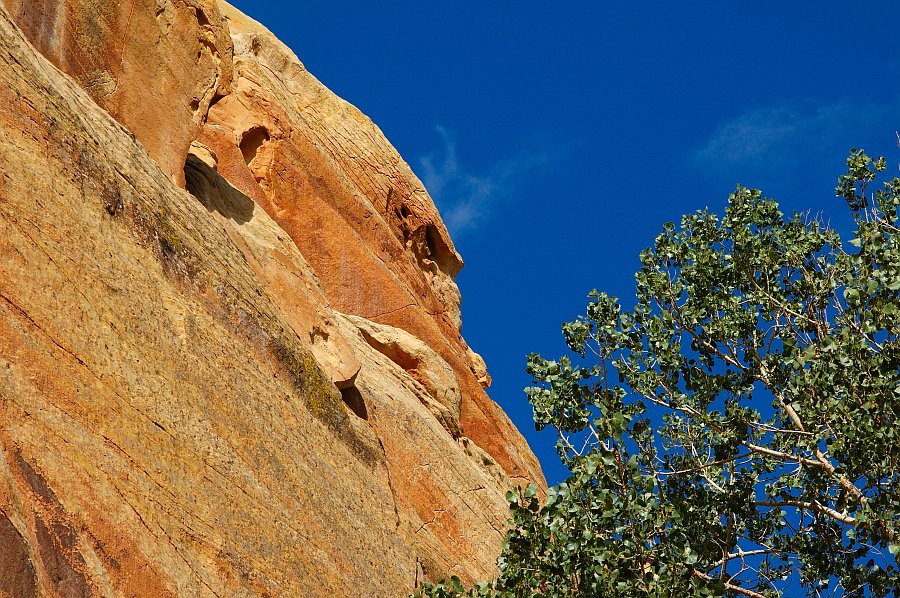 CapitolReef_015.jpg - Capitol Reef