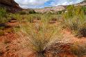 CapitolReef_005
