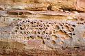 CapitolReef_007