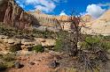 CapitolReef_010
