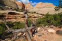 CapitolReef_011