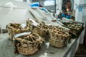 Casablanca - mercato (2)