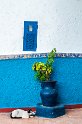 Rabat - Kasbah (16)