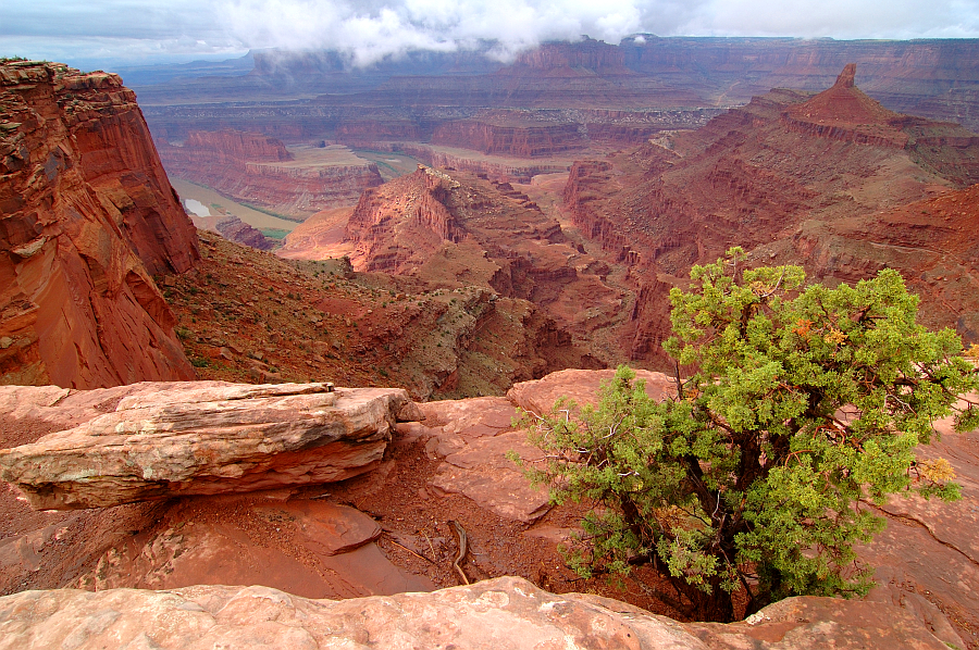 DeadHorsePoint_004.jpg - Dead Horse Point (veduta del fiume Colorado)