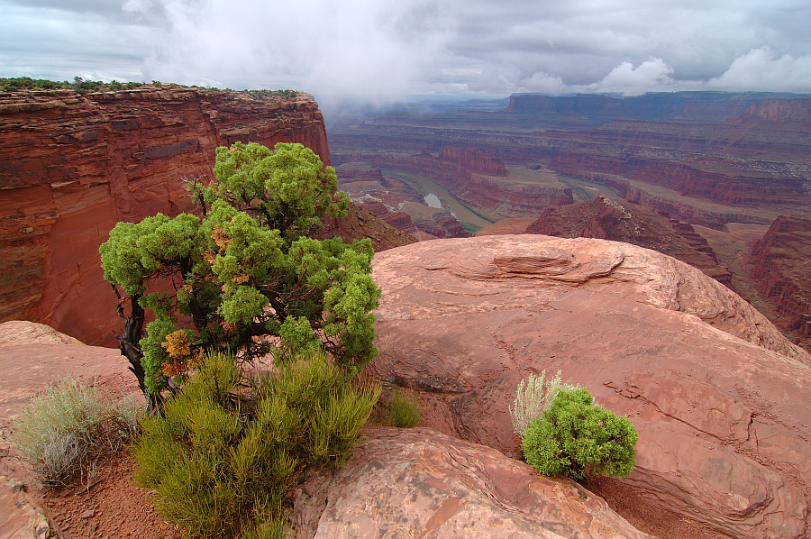 DeadHorsePoint_005.jpg - Dead Horse Point (veduta del fiume Colorado)