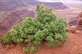 DeadHorsePoint_003