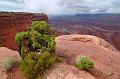 DeadHorsePoint_005