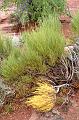 DeadHorsePoint_007