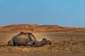 Deserto (4)