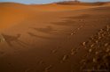 Deserto (6)