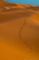 Deserto (7)