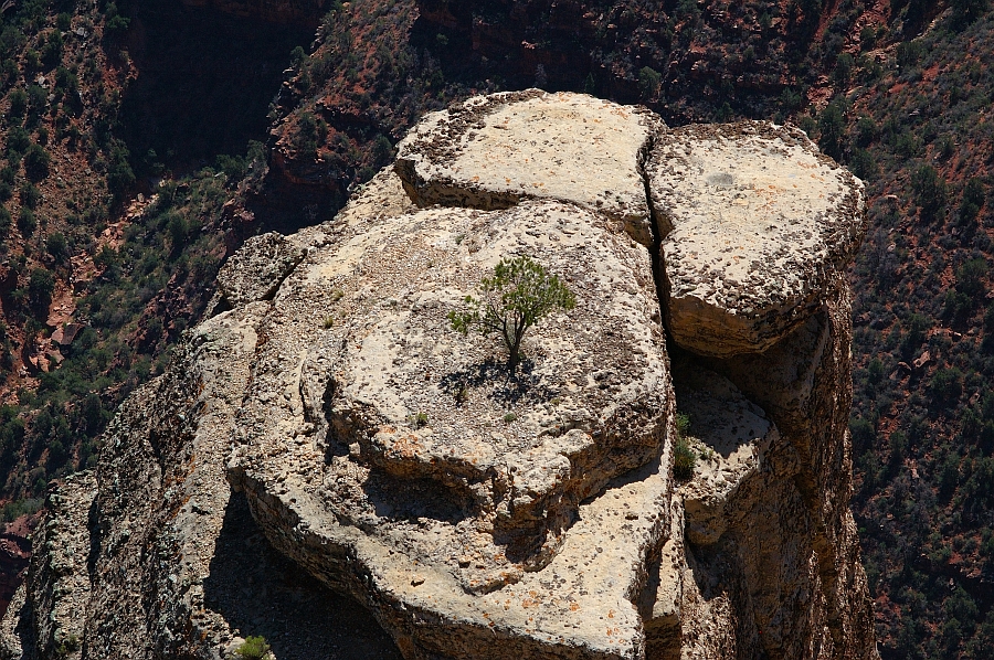 GrandCanyon_018.jpg - Powell Point