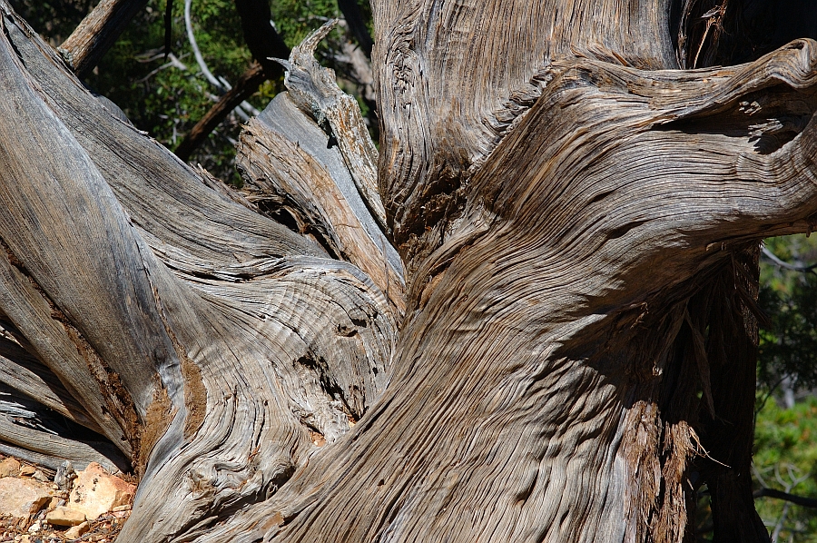 GrandCanyon_023.jpg - Pima Point