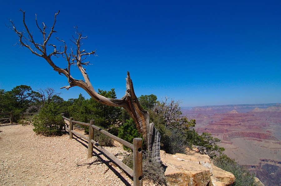 GrandCanyon_025.jpg - Pima Point