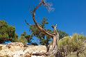 GrandCanyon_014