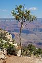 GrandCanyon_019
