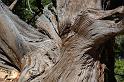 GrandCanyon_023