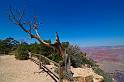 GrandCanyon_025