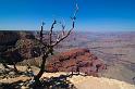 GrandCanyon_026