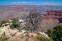 GrandCanyon_028
