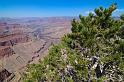 GrandCanyon_029