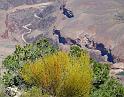 GrandCanyon_030