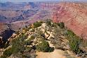 GrandCanyon_032